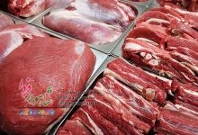 Photo of نحوه چگونگی استفاده از انواع گوشت اعلام شد/ جلوگیری از بروز بیماری ها