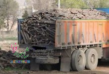 Photo of ۶ تن چوب تاغ در شاهرود کشف شد/ قیمت زغال نیت اصلی قاچاقیان