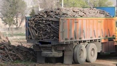 Photo of ۶ تن چوب تاغ در شاهرود کشف شد/ قیمت زغال نیت اصلی قاچاقیان